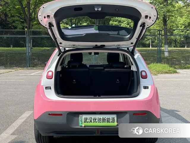 firefly firefly Unknown id 3993377 из Китая 19