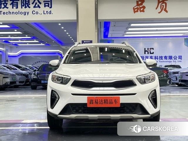 Kia Yi Ran id 4273899 из Китая 10