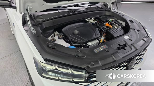 Renault Korea (Samsung) Grand Coleos id 4629882 из Кореи 31