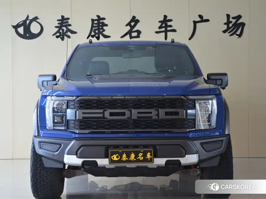 Ford F-150 id 4679791 из Китая 10