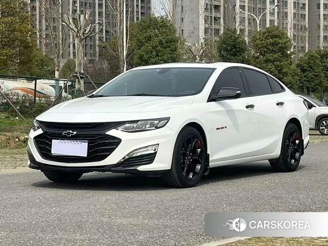 Chevrolet Mai Ruibao XL 2020 Белый из Китая, фото 5