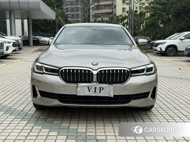 BMW 5 series 2021 Шампань из Китая, фото 5