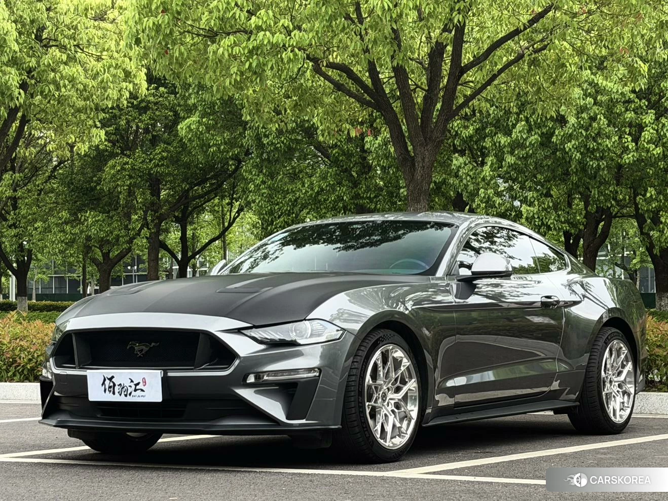 Ford Mustang id 4419140 из Китая 9