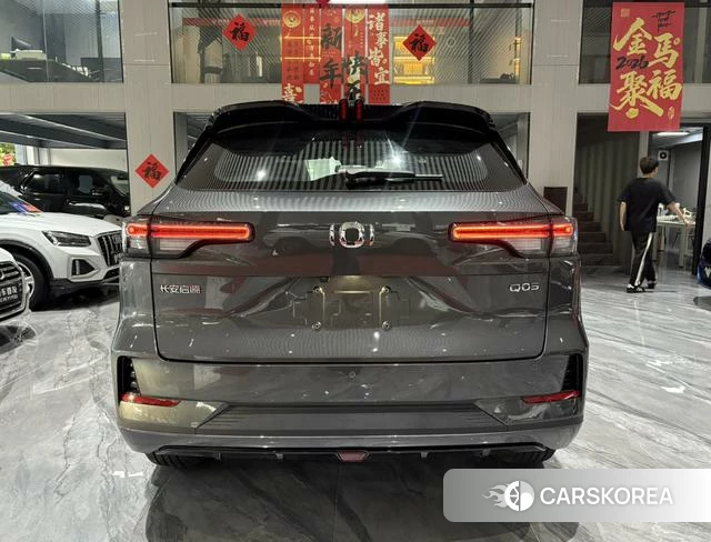 Changan Qiyuan Q05 classic id 3945022 из Китая 27