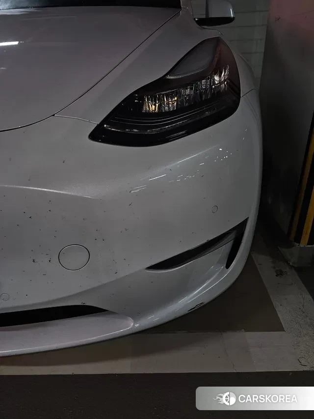 Tesla Model Y 2021 Белый из Кореи, фото 6