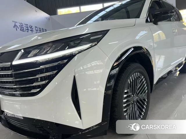 Nissan Exploring the land id 4258931 из Китая 21