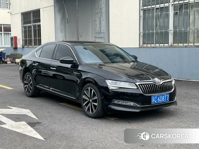 Skoda Speed pie 2024 Черный из Китая, фото 5