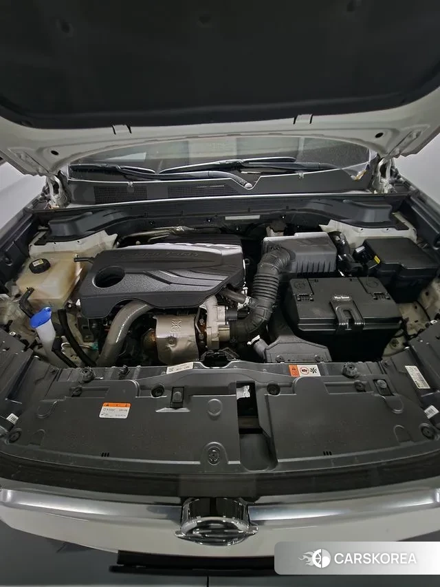 Ssangyong Beautiful Korando 2022 Жемчужный цвет из Кореи, фото 5