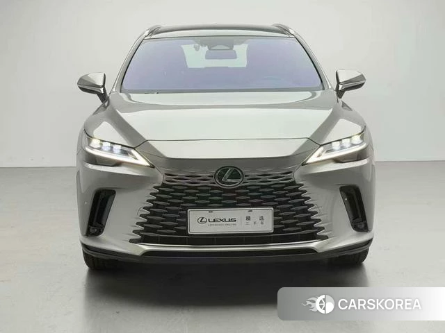 Lexus RX id 4314575 из Китая 13