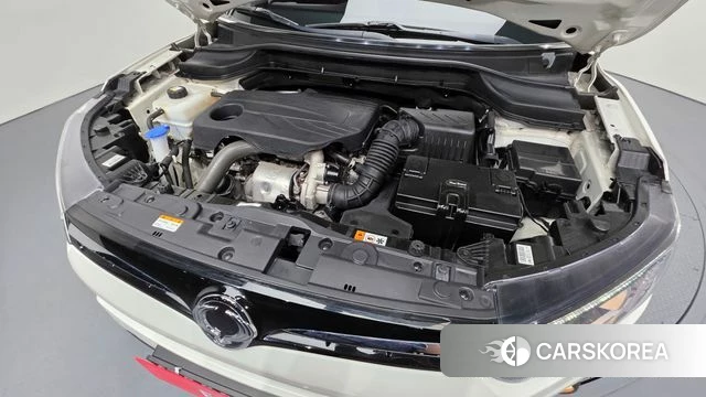 Ssangyong Berry New Tivoli id 4604603 из Кореи 27