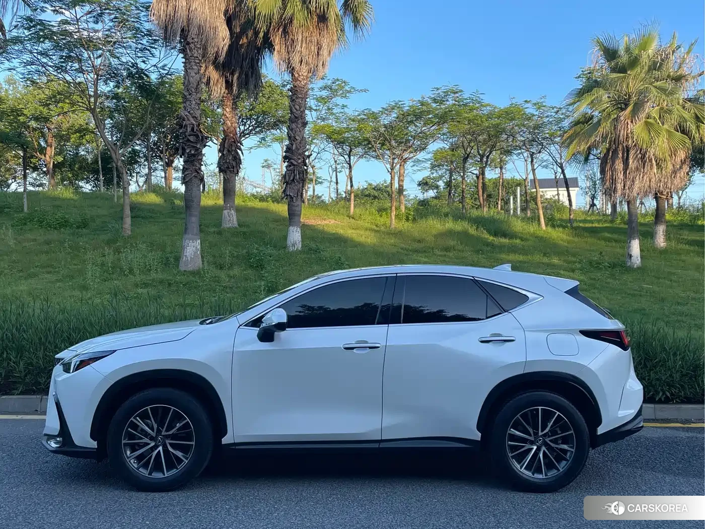 Lexus NX 2022 Белый из Китая, фото 5