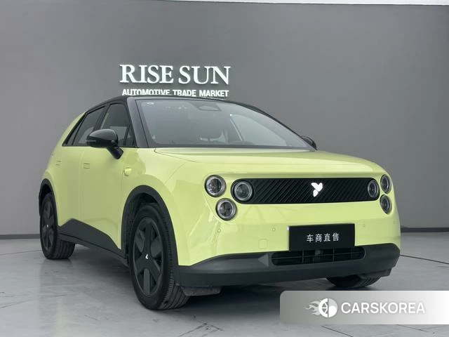 firefly firefly Unknown id 4198964 из Китая 10