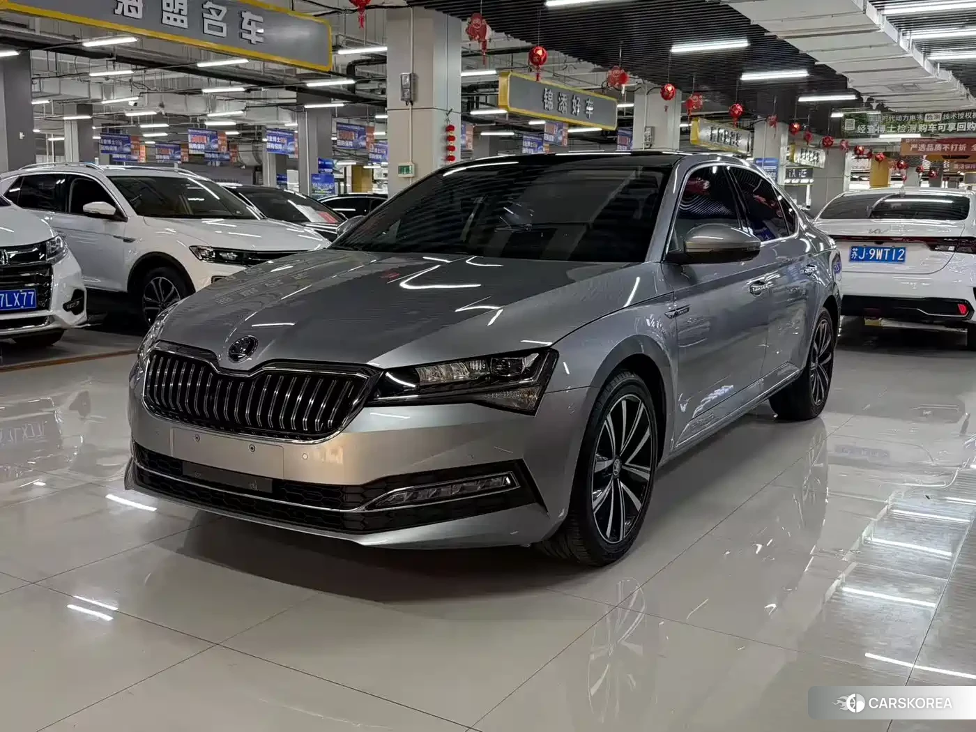 Skoda Speed pie 2023 Silver/gray из Китая, фото 5