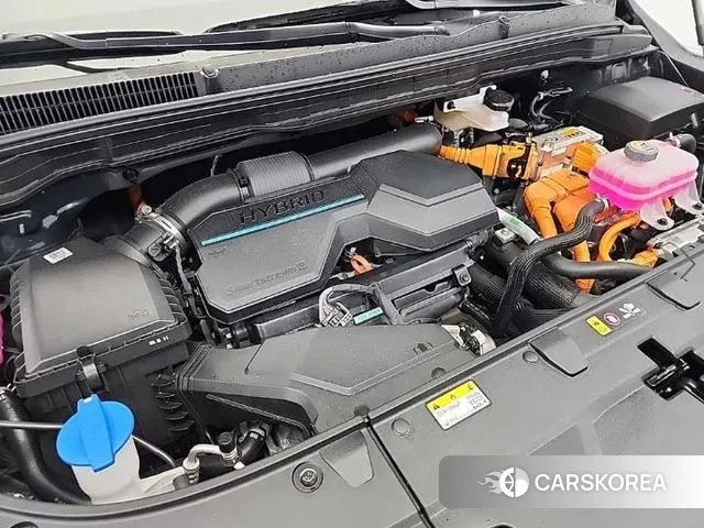 Kia The New Carnival 4th Generation id 3487210 из Кореи 14