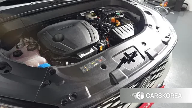 Renault Korea (Samsung) Grand Coleos id 3436832 из Кореи 15