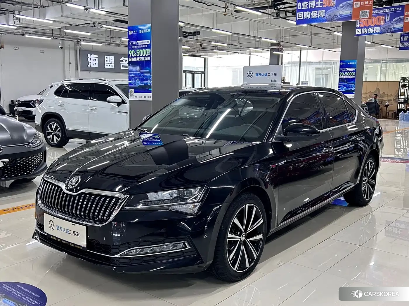 Skoda Speed pie id 4538742 из Китая 8