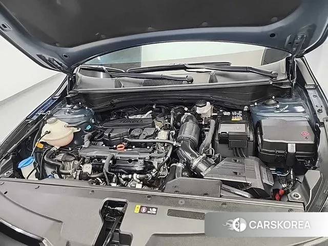 Kia Sportage 5th Generation id 3582087 из Кореи 14