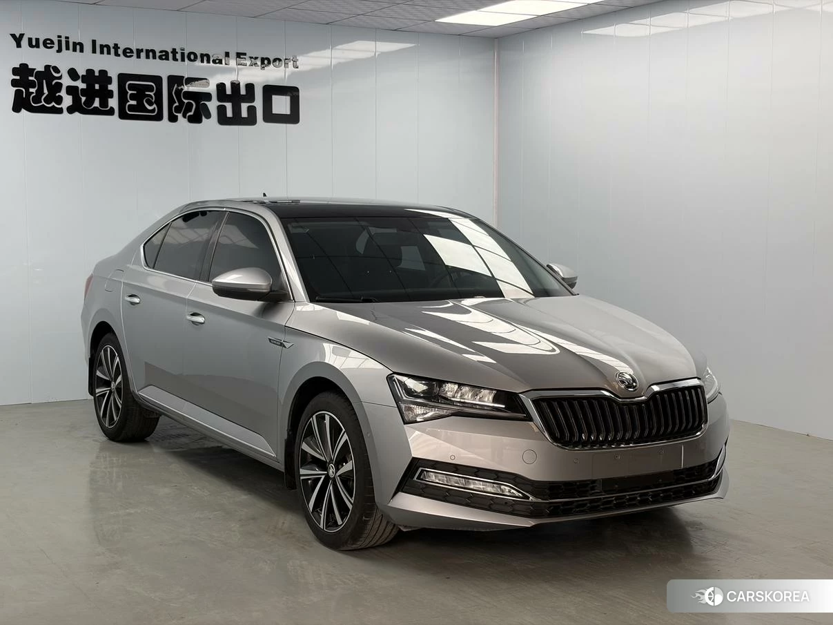 Skoda Speed pie id 4512842 из Китая 7