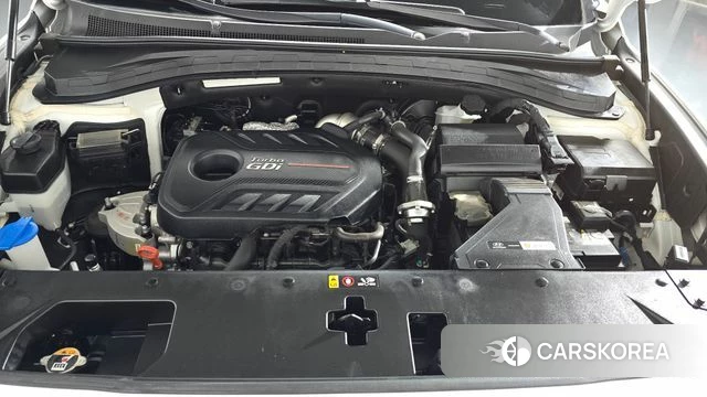 Hyundai Santa Fe TM id 4447013 из Кореи 26