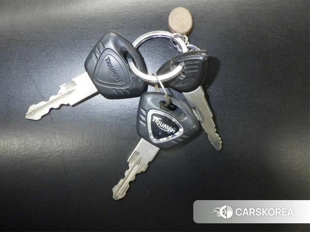 Triumph DAYTONA 675R id 3946628 из Японии 27