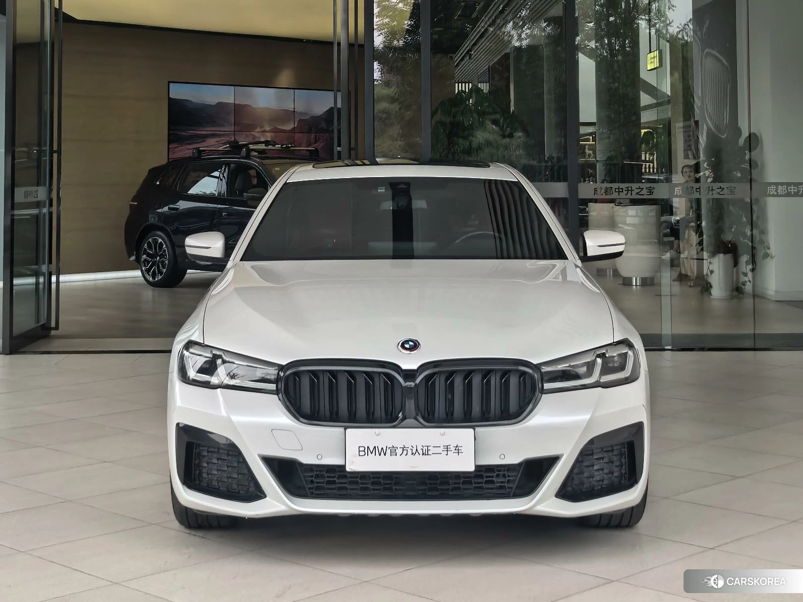 BMW 5 series 2020 Белый из Китая, фото 6
