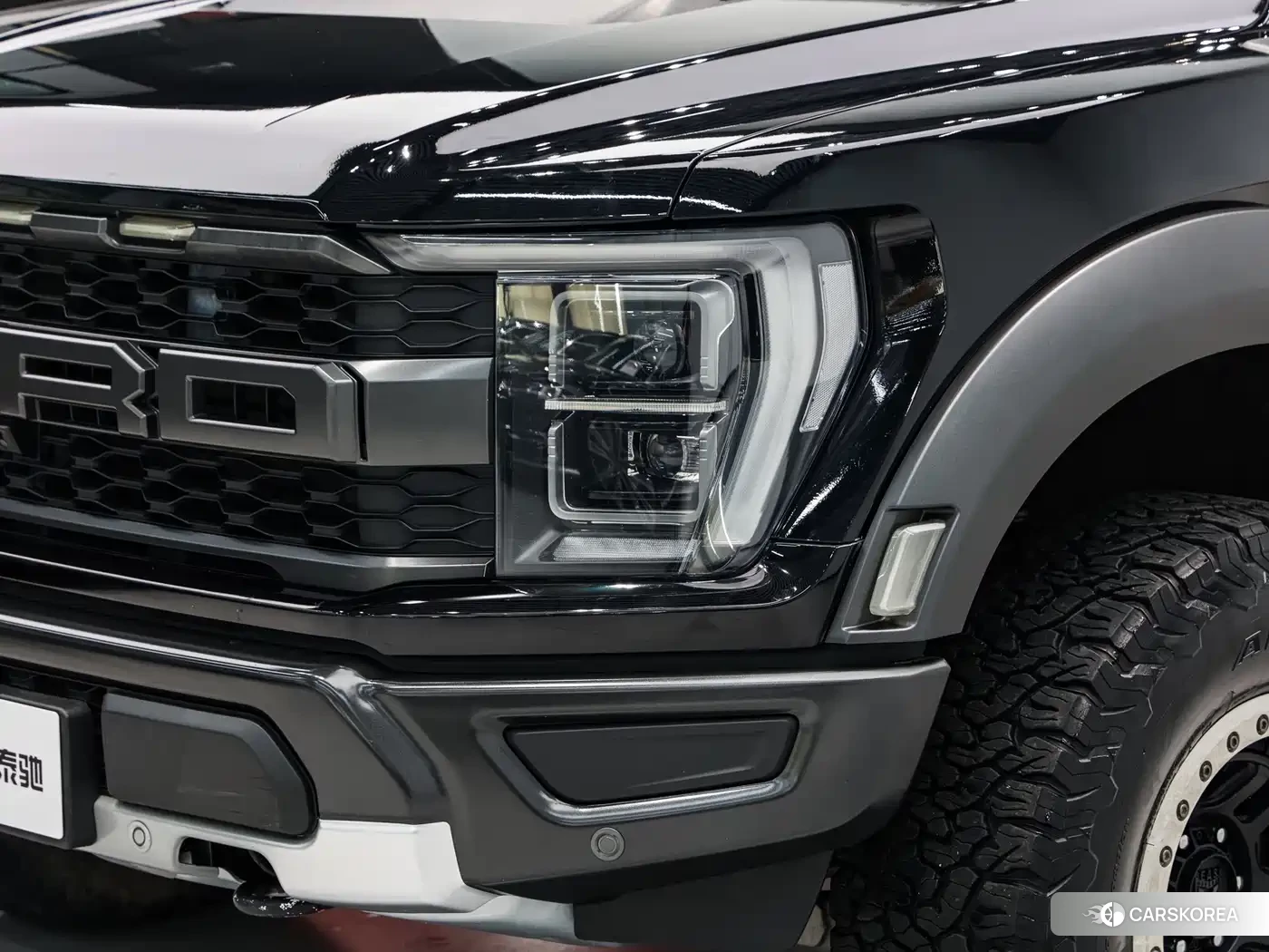 Ford F-150 Raptor id 4546616 из Китая 18