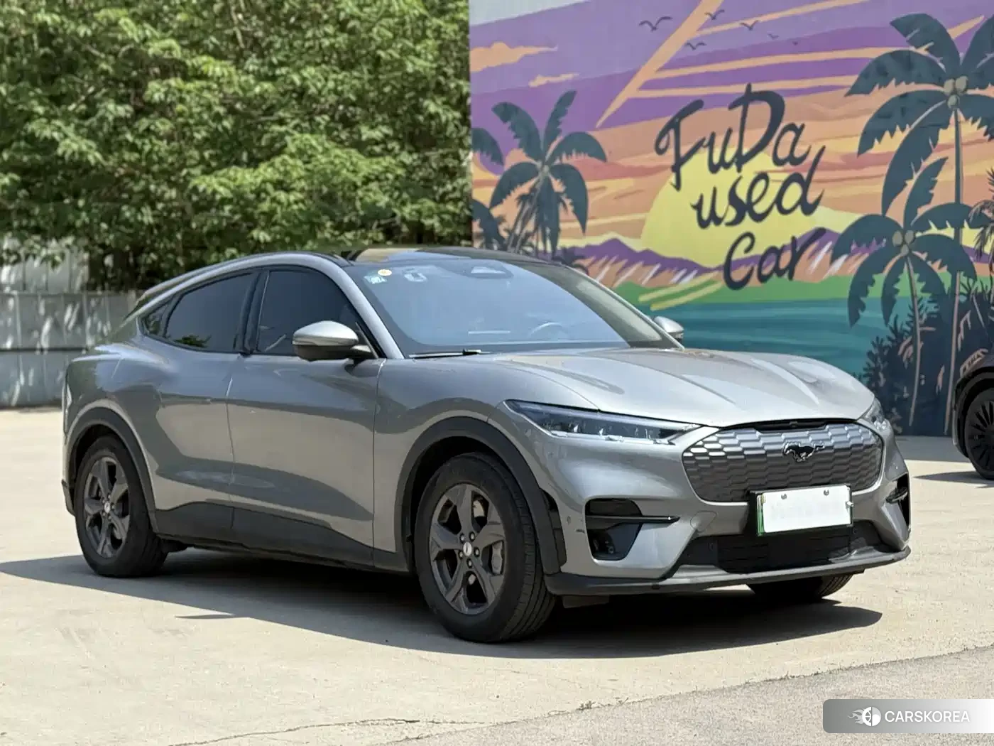 Ford Electric horse 2022 Silver/gray из Китая, фото 5