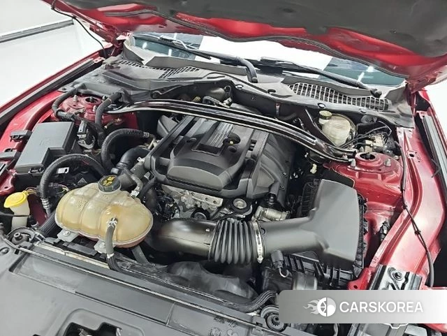 Ford Mustang id 4447449 из Кореи 13