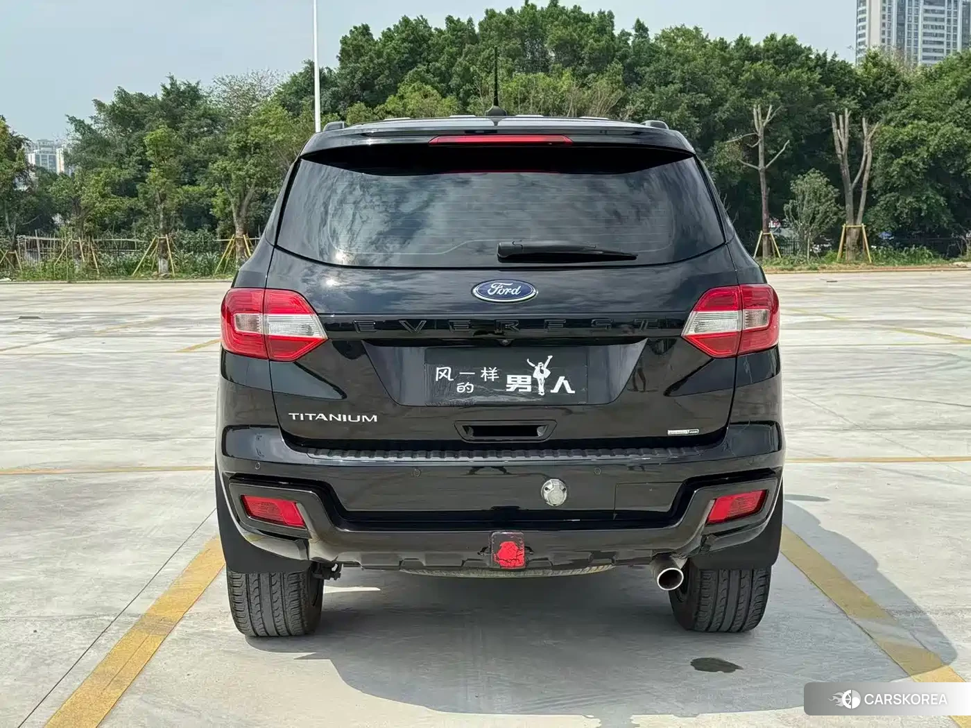 Ford Road Shaker id 4578272 из Китая 12