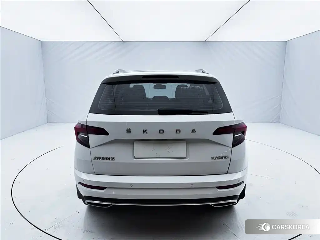 Skoda Krok id 4565102 из Китая 19
