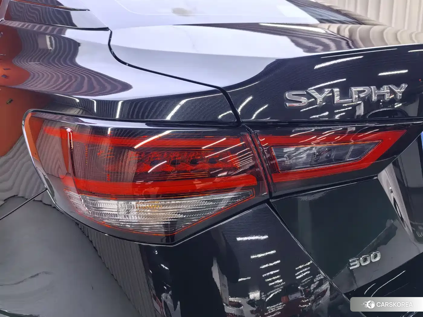 Nissan Sylphy id 4553710 из Китая 20