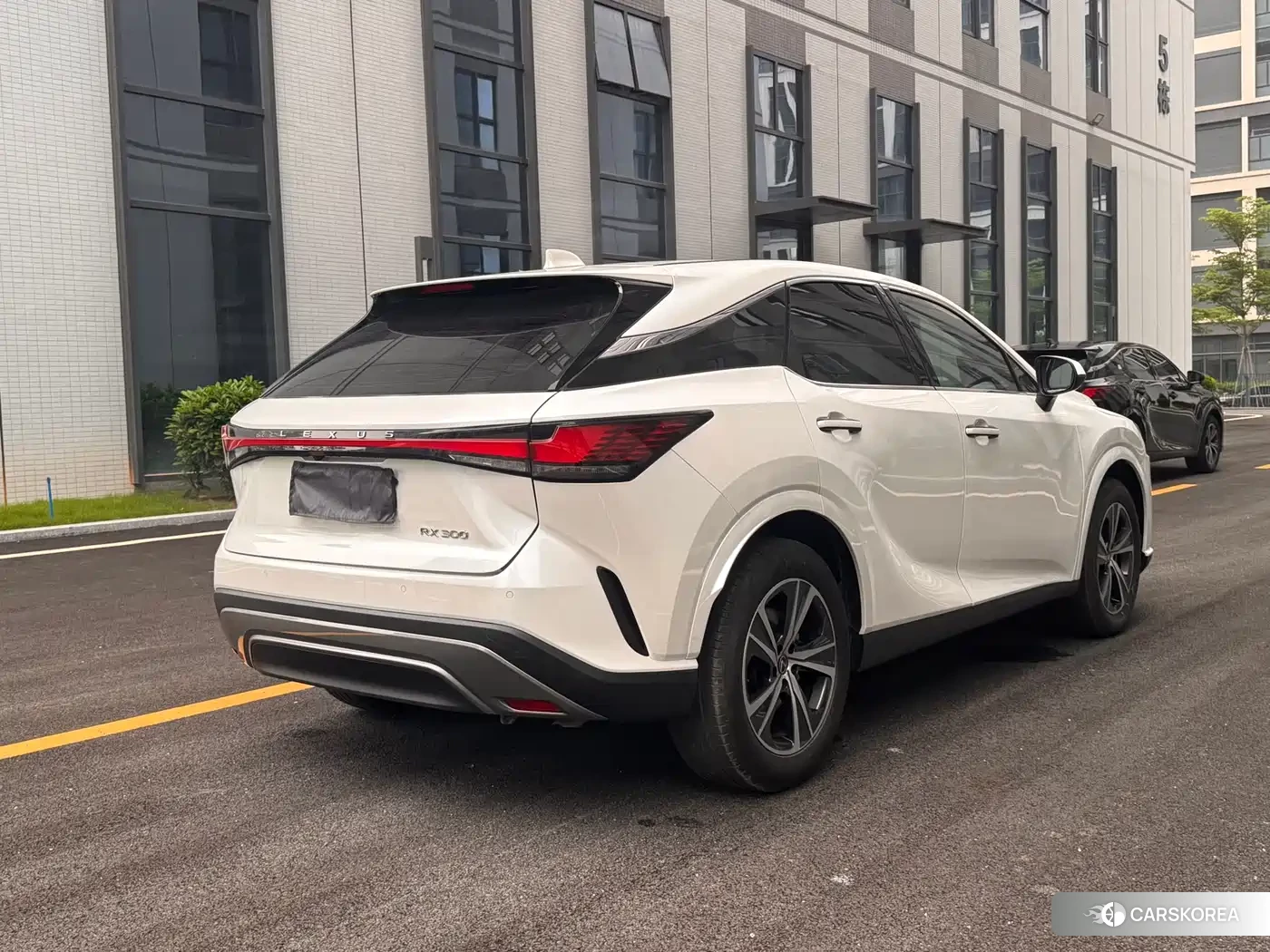 Lexus RX 2025 Белый из Китая, фото 5