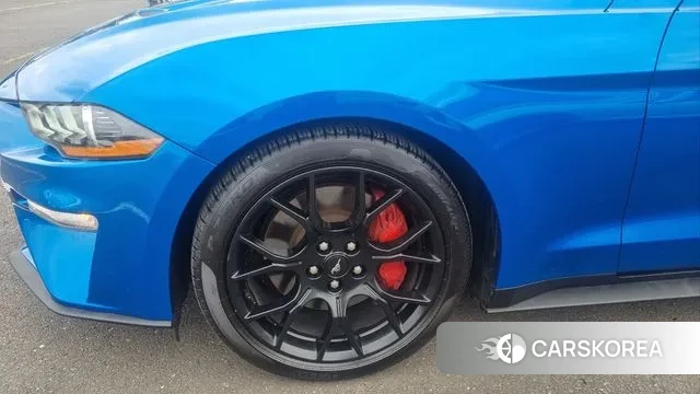 Ford Mustang id 2895211 из Кореи 15