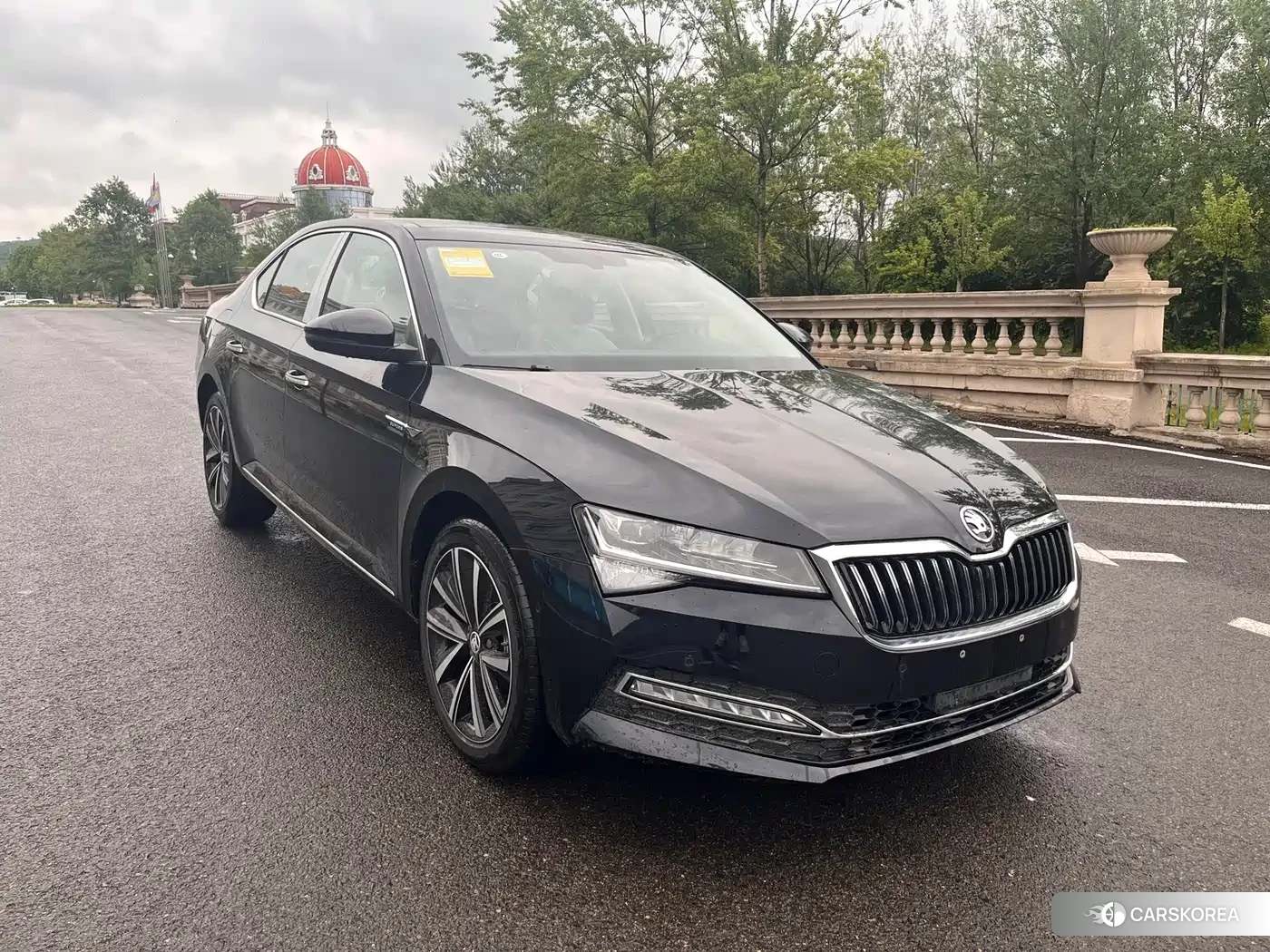 Skoda Speed pie id 4538584 из Китая 10