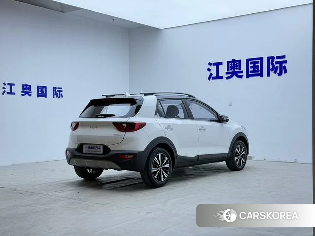 Kia Yi Ran id 4299389 из Китая 15