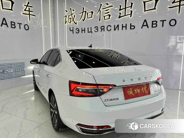 Skoda Speed pie id 4368045 из Китая 17