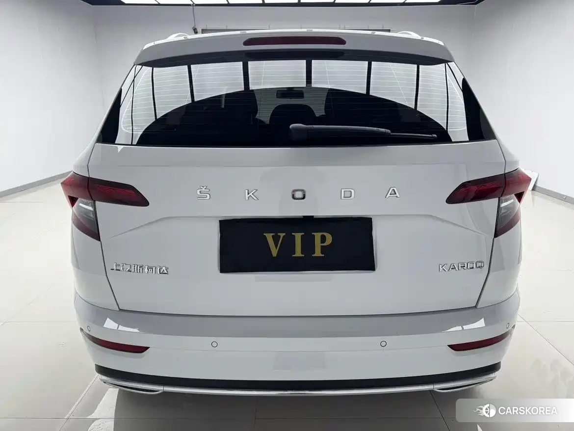 Skoda Karoq id 4681238 из Китая 11