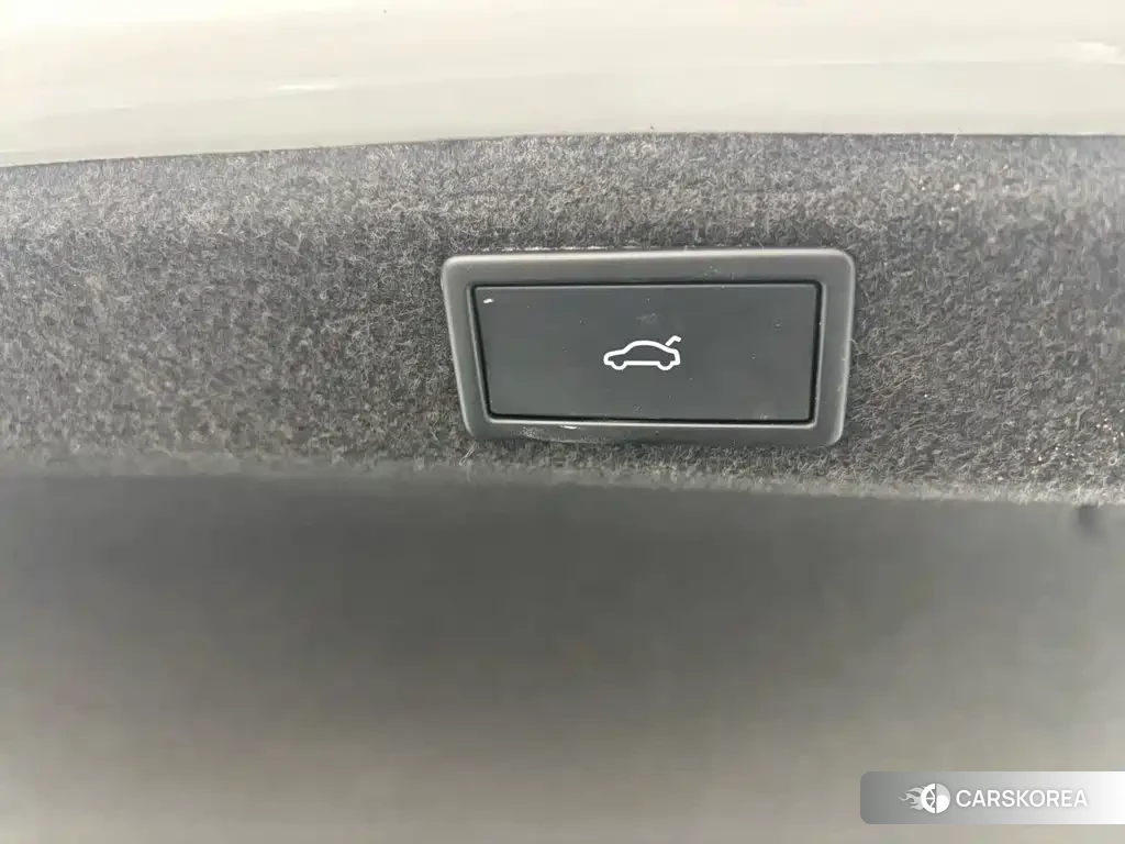 Skoda Speed pie id 4553923 из Китая 15