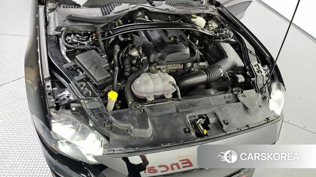 Ford Mustang id 3936583 из Кореи 15