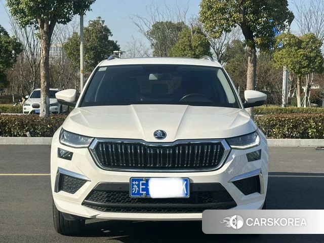Skoda Kodiak id 4374451 из Китая 12
