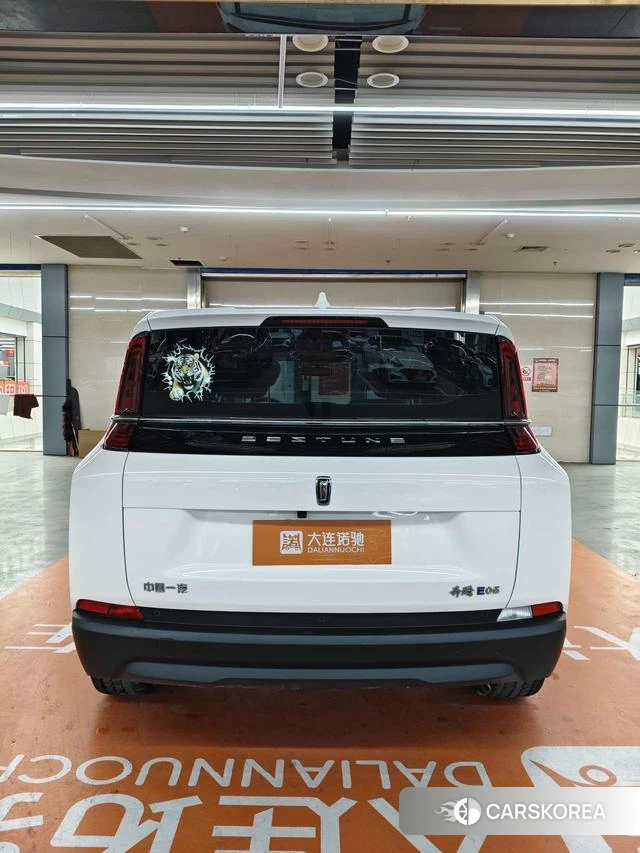 Pentium NAT 2025 Белый из Китая, фото 5