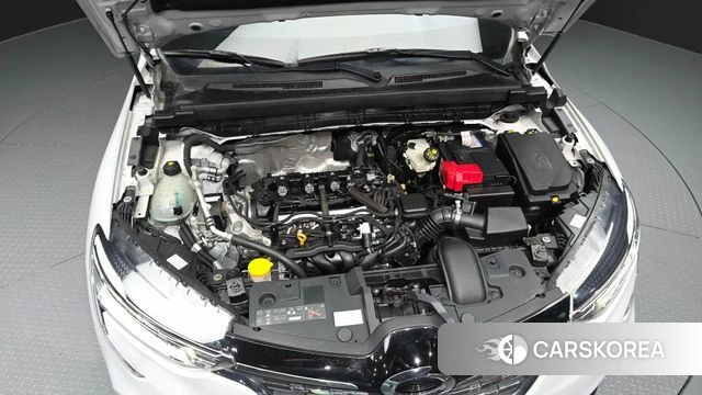 Renault Korea (Samsung) XM3 id 4922364 из Кореи 27