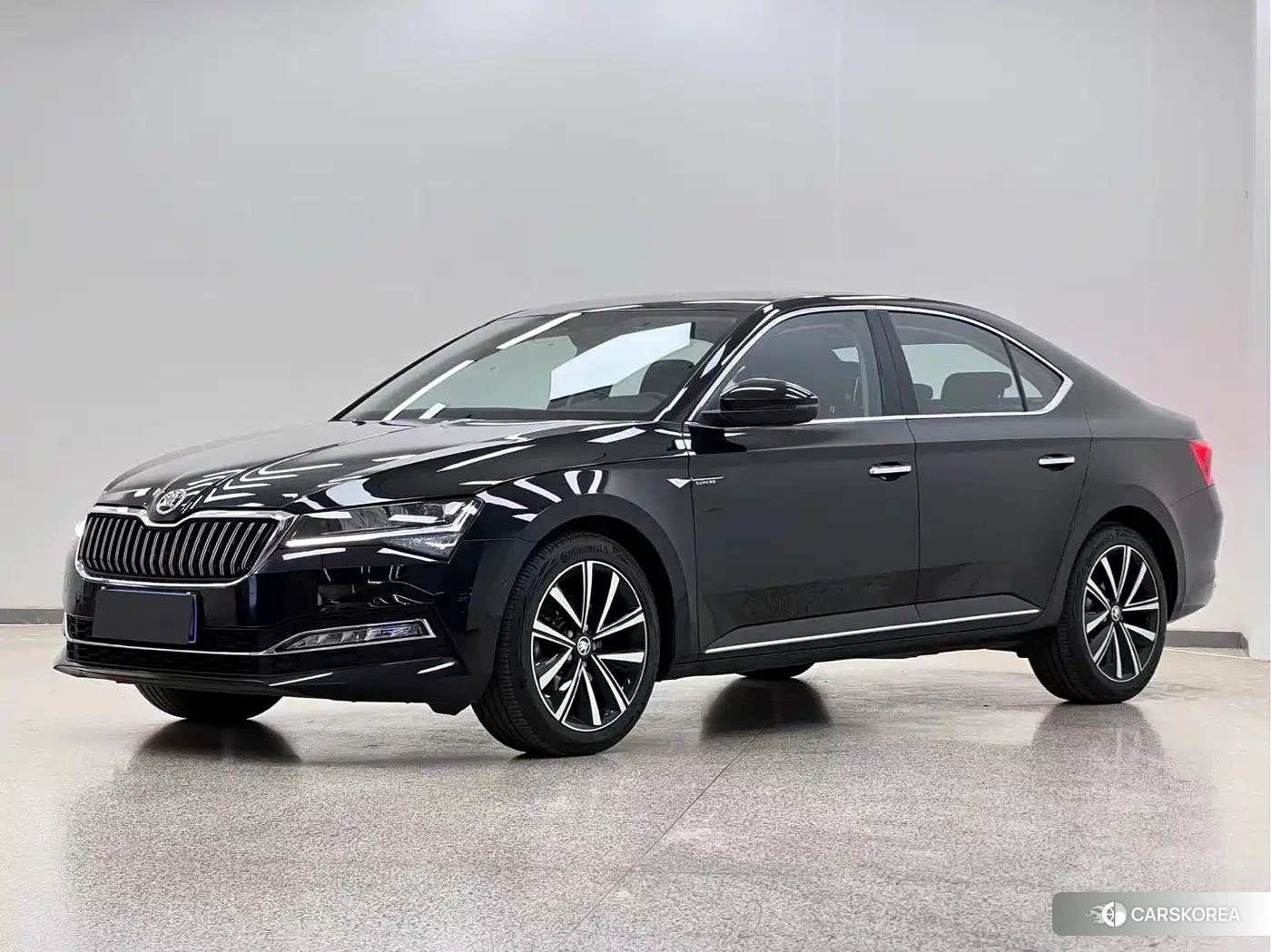 Skoda Speed pie id 4514112 из Китая 22