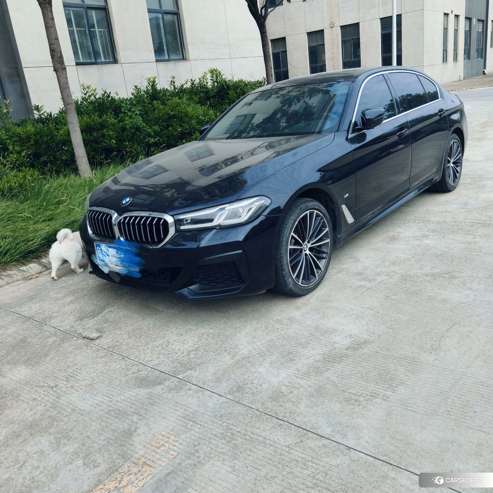 BMW 5 series 2021 Черный из Китая, фото 5