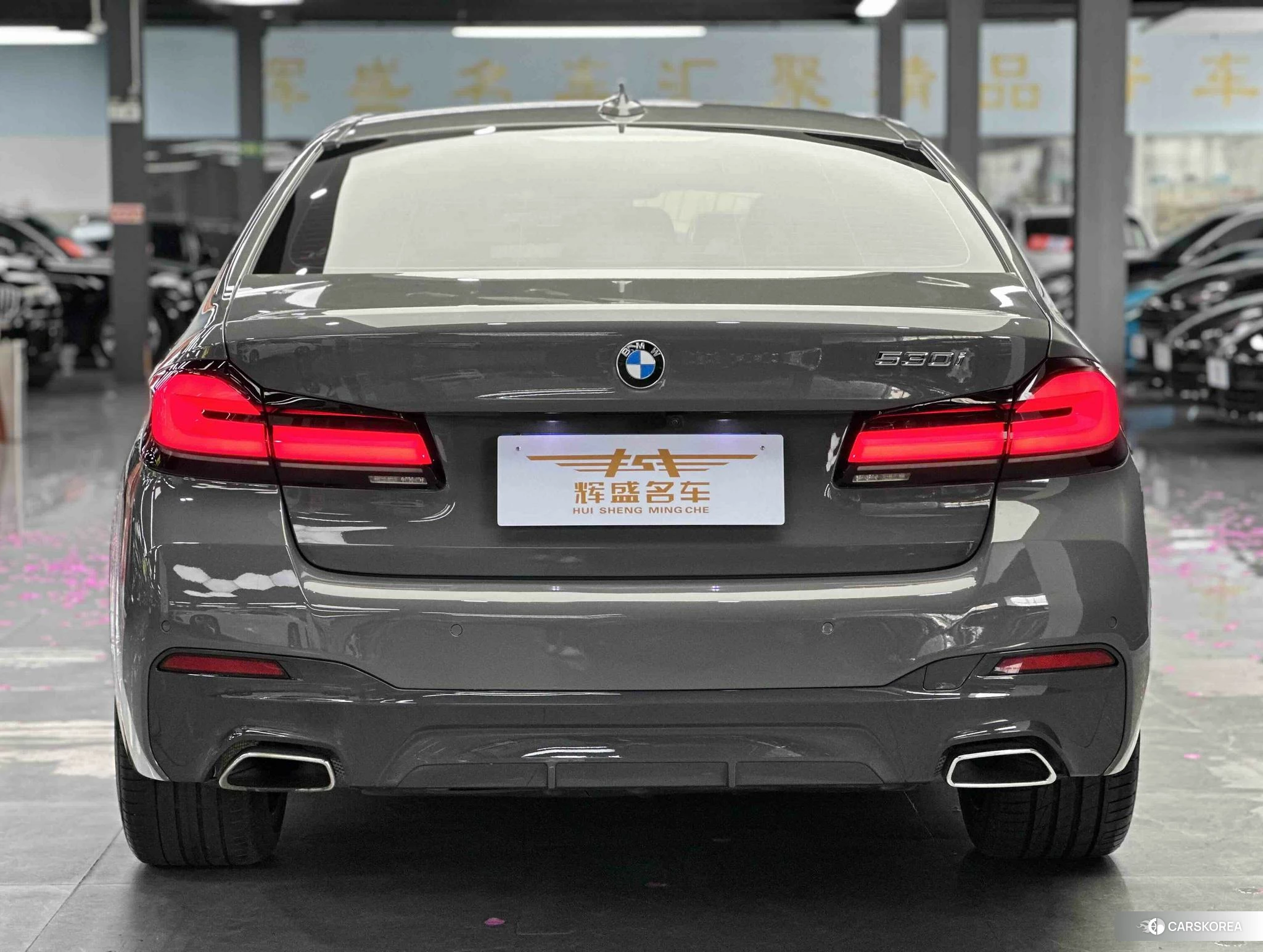 BMW 5 series (imported) 2020 Темно-серый из Китая, фото 5