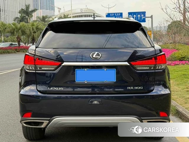 Lexus RX id 4359300 из Китая 8