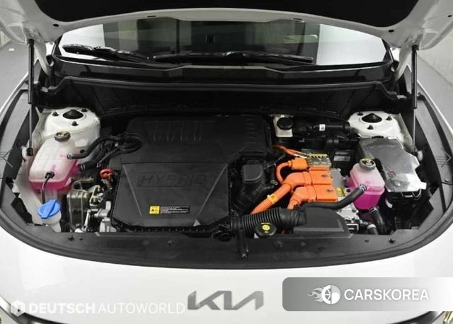 Kia Di Ol Nu Niro id 4881171 из Кореи 14