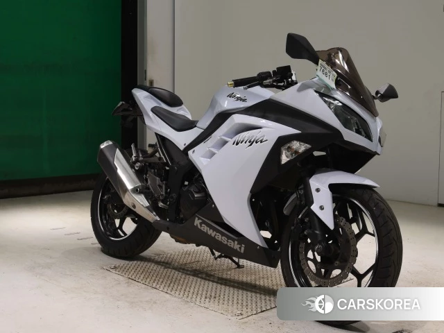Kawasaki NINJA 300 2013 из Японии, фото 5