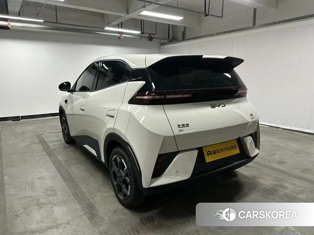 BYD Seagull id 4028236 из Китая 15