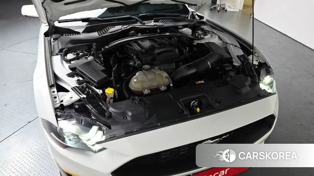 Ford Mustang id 3966525 из Кореи 15